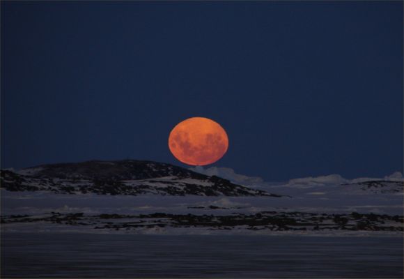 Alien Landscape (Moon over Antarctica)
Da "NASA - Picture of the Day" del 25 Novembre 2005:"Last week, the nearly Full Moon set along the Northern Horizon - as seen from Davis Station, Antarctica. The squashed orange pumpkin shape just silhouettes the peak of a distant iceberg in this stunning view. 
The Moon's apparently squashed shape is due to atmospheric bending of light or refraction - an effect which is more severe closer to the horizon. Skimming low along the stark features of the frozen landscape, the Moon's lower edge appears noticeably more distorted than the upper limb. Along with about 70 others present at Davis Station, Dr. Jim Behrens had a chance to enjoy the view while studying the ongoing detachment of a large iceberg known as "Loose Tooth". 
Parole chiave: Artistic Pictures