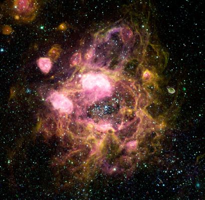 N 11 - A "Ring of Nebulae" inside the Large Magellanic Cloud
Una delle più grandi nebulose sino ad ora scoperte si è rivelata, in realtà, come un complesso anello di nebulose ad emissione minori, fra loro connesse da filamenti di gas luminoscenti. Questa curiosa struttura, conosciuta come N 11, si estende per oltre 1000 A.L. e si trova all'interno della Grande Nube di Magellano, la maggiore Galassia-Satellite della nostra Via Lattea. Al centro dell'immagine è ben visibile un ammasso stellare aperto (conosciuto come LH 9 - o anche NGC 1760), composto da circa 50 giovani stelle azzurre le quali sono responsabili dell'emissione della radiazione che ha letteralmente "eroso" l'area ad esse circostante, liberandola dai gas interstellari. 
L'ipotesi più accreditata circa la formazione di N11 è che le diverse nebulose siano i residui di un gruppo di stelle aventi origini comuni, ma età differenti. 
La regione più brillante, infine, visibile appena sopra il centro dell'immagine, è conosciuta come N 11-B, una "fucina di stelle", forse oggi ancora attiva.
Parole chiave: From Space Images