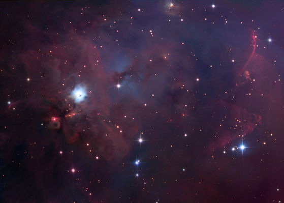 NGC 1999 - The "X" Nebula in Orion
"Zéfiro già, di be' fioretti adorno,
avea de' monti tolta ogni pruina,
avea fatto al suo nido già ritorno
la stanca rondinella peregrina;
risonava la selva intorno intorno
soavemente all'òra mattutina:
e la ingegnosa pecchia al primo albore
giva predando ora uno or altro fiore..."

Angelo Poliziano - "Tempo secondo o di Simonetta"
Parole chiave: From Earth Images - Amatorial Images
