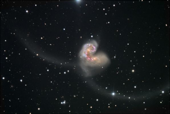 NGC 4038 and 4039 - The "Antennae Galaxies"
"...Ars longa, Vita brevis (est)..."

(Seneca)

"...La via dell'Arte (intesa come Scienza e Conoscenza) è eterna; la Vita (invece) è breve..."

Nota: tutta la Vita di un Uomo che si dedichi alle Arti ed alla Scienza non basta perchè egli possa svolgere la sua opera ed il suo pensiero per intero. Come Faust cade sul libro non finito, altri lo riprenderà per continuarlo e quindi seguirà la stessa fine e così via...ad infinitum.
Parole chiave: From Earth Pictures - Professional Pictures - Kitt Peak National Obs.