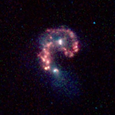 NGC 4039 and NGS 4038 - The "Antennae" Colliding Galaxies
The image was taken by Spitzer's infrared array camera and is a combination of infrared light ranging from 3.6 microns (shown in blue) to 8.0 microns (shown in red). The dust emission (red) is by far the strongest feature in this image. Starlight was systematically subtracted from the longer wavelength data (red) to enhance dust features. The two nuclei, or centers, of the merging galaxies show up as white areas, one above the other. The brightest clouds of forming stars lie in the overlap region.
Parole chiave: From Space Images