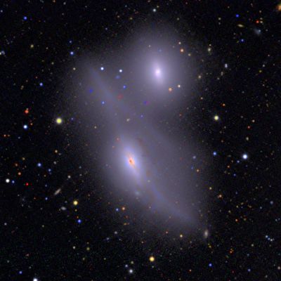 NGC 4435 and 4438 - Interacting Galaxies
"...Canis timidus vehementius latrat quam mordet..."

(Q. Curzio)

"...Il cane timido (pavido) abbaia più forte di quanto morda..."
Parole chiave: From Space Images - Hubble Images