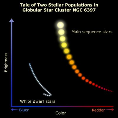 NGC 6397 - The "White Dwarfs Hook"
This graph schematically plots two populations of stars Hubble has seen in neighboring star cluster NGC 6397. The graph, a simplified version of the original data, plots stellar brightness (vertical axis) against stellar color-temperature. The normal main sequence stars in the cluster are plotted on the right curve. 
The cooler a star is, the redder it appears and it diminishes in brightness. 
Hubble has identified the very coolest and faintest normal stars in the cluster.
The curve on the left plots the white dwarf population of burned-out sunlike stars. It follows a normal "cooling slope" until the white dwarf begins to look bluer and hook toward the left BUT the dwarfs aren't getting hotter! 
Chemical changes in their atmospheres make them look cooler. 
This predicted "white dwarfs hook" has never been seen before.
Parole chiave: Graphs and Spectra