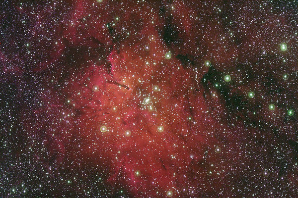 NGC 6820 and NGC 6823
"...De fumo ad flammam..."

Ammiano Marcellino

"...Dal fumo, al fuoco..."

nota: antica massima destinata a ricordare che, quando ci si trova in una situazione intollerabile, il rischio maggiore che si corre - se si cerca di risolverla in maniera "sbrigativa"... - è quello di finire in una situazione (paradossalmente) ancora più intollerabile! (oggi diremmo "dalla padella, nella brace"...)
Parole chiave: From Earth Images - Amateur pictures