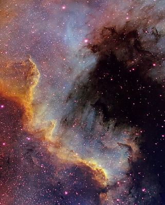 NGC 7000 - North America Nebula
"...Facilis descensus Averno. Sed revocare gradum superasque evadere ad auras: hoc opus, hic labor..."

(Virgilio)

"...Precipitare nei recessi dell'Inferno è semplice. Ma il (vero) Valore - opus - e (l'autentico) Sacrificio - labor - stanno nell'essere capaci di risalirne e quindi uscire all'aperto, per rivedere il Cielo..."
Parole chiave: From Earth Images