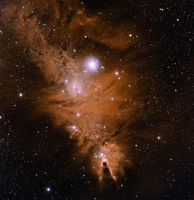 NGC 2264 - The "Cone Nebula"
"...God formed Man from the dust of the ground, and breathed into his nostrils the Breath of Life: and the Man became a living being..."

- Genesis 2:7 
Parole chiave: From Earth Pictures - Professional Pictures