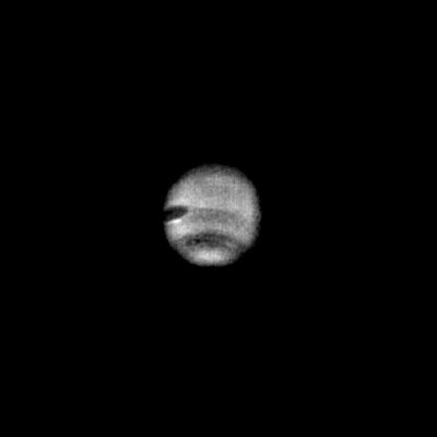Neptune, from FAR away...
Caption NASA originale:"This image of Neptune was taken through the clear filter of the narrow-angle camera, when the Voyager 2 spacecraft was at a range of 57 MKM (about 35 MMs). The image was processed by computer to show the newly resolved dark oval feature embedded in the middle of the dusky southern collar. The large dark spot nearer the equator is also prominent on the left edge of the disk. The new small dark spot rotates faster than the large dark spot indicating that the winds on Neptune have different velocities at different latitudes as is the case for Jupiter, Saturn and Uranus".
Parole chiave: Neptune