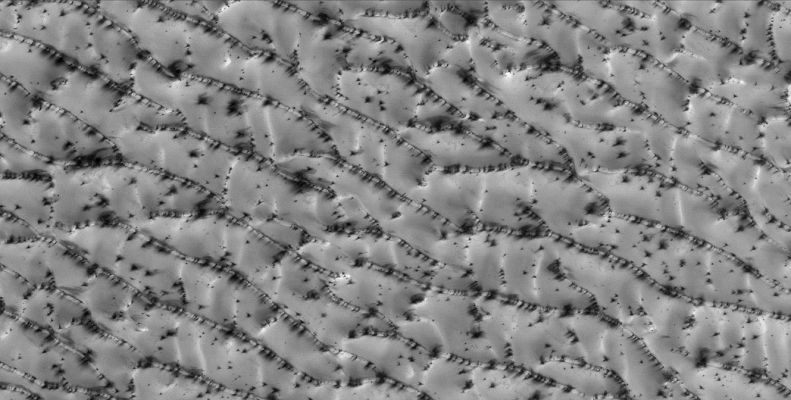 Defrosting North Polar Dunes (Original NASA/MGS/MSSS b/w Frame)
Caption NASA originale:"This MGS-MOC image shows a portion of a sand dune field in the North Polar Region of Mars. The dunes are covered with frozen CO2, which accumulated over the Autumn and Winter months in the Northern Hemisphere. During the Spring, the time at which this image was acquired, the CO2 begins to sublime away, going directly from solid to gas, just as dry ice does here on Earth. 
The dark spots, streaked by blowing winds, may be places where the frost has been removed (exposing underlying dark sand), places where the grain size or roughness of the frost has increased (increasing shadowing due to the change in texture), or both".

Location near: 79,7° North Lat. and 148,3° West Long.
Image width: ~3 Km (~1,9 mi)  
Illumination from: lower left  
Season: Northern Spring
Parole chiave: Mars from orbit - North Polar Features - Defrosting Dunes