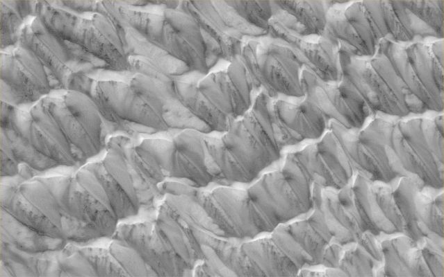 North Polar "Frosted Dunes" (Original NASA/MGS/MSSS b/w Frame)
Caption NASA originale:"This MGS-MOC image shows Dunes in the North Polar Region of Mars. The Dunes in this scene are covered by a layer of Carbon Dioxide Frost that accumulated during the Winter in 2005. Dark spots indicate areas where Frost has begun to sublime away. In Summer, the Dunefield will be dark, as all of the Frost will be gone and the Iron- and Magnesium-bearing Silicate Sands will be exposed".

Location near: 81,9° North Lat. and 226,1° West Long.
Image width: ~3 Km (~1,9 mi)  
Illumination from: lower left  
Season: Northern Spring
Parole chiave: Mars from orbit - North Polar Features - Frozen Dunes