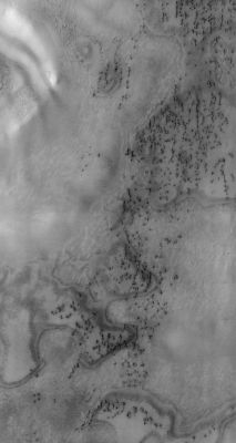 Features of the North Polar Erg (Original NASA/JPL/ASU b/w Frame)
Caption NASA:"Sand Seas on Earth are often called "Ergs", an Arabic name for Dunefield, but a Sand Sea DIFFERS from a Dunefield in - at least - two ways: 

1) a Sand Sea has a LARGE regional extent and 
2) the individual Dunes forming the Sand Sea are LARGE in size and complex in form. 

This VIS image was taken at 82° North Latitude during Northern Spring. The Dunes are still partially frost covered. This Region is part of the North Polar Sand Sea: so note the complexity and regional coverage of the Dunes".

Image information: VIS instrument; 
Latitude: 81,2° North;
Longitude: 118,2° East (such as 241,8° West); 
Resolution: 19 meter/pixel.
Parole chiave: Mars from orbit - North Polar Features - The Erg