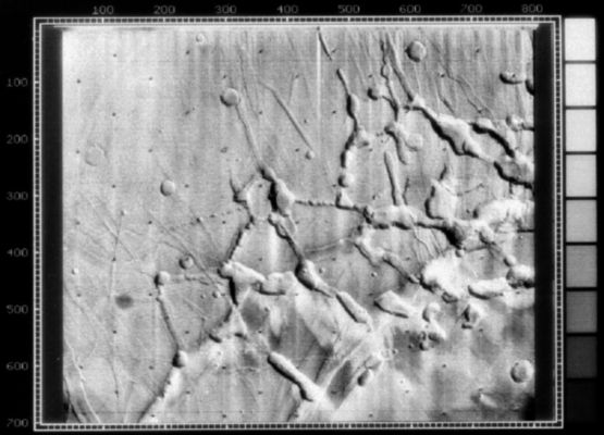 Mars from Mariner 9: Canyons, troughs and cracks
nessun commento
Parole chiave: Mars from orbit - Troughs