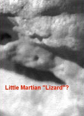 Xenomorph (2) - Sol 39
Questo approccio - ripetiamo: prudente e pragmatico - non vuole e non deve, tuttavia, estremizzarsi e quindi portarci ad escludere, in maniera bieca e stupidamente aprioristica (così come fanno tantissimi "Scienziati", di casa nostra e non), la strabiliante e remota, ma comunque accettabile - da un punto di vista logico e razionale - eventualità che, effettivamente, su Marte (ed altrove) ci sia qualcosa di "simile/affine" a quello che possiamo trovare sulla nostra Terra. 

Un "qualcosa" che riusciamo a far emergere dalle nebbie del cover-up, della disinformazione e della controinformazione, solo attraverso gli sforzi dei nostri Ricercatori i quali, come il Dr Barca, spendono decine di migliaia di ore l'anno per cercare di arrivare, come sapete, a sfiorare almeno un frammento di Verità e che, nel farlo, rischiano costantemente la propria faccia e, con essa, la propria (sudatissima) credibilità.

Complimenti al Dr Gianluigi Barca ed a tutti coloro che non si stancano mai di guardare e di cercare!
Parole chiave: Extremely Anomalous Surface Feature - Possible CIL