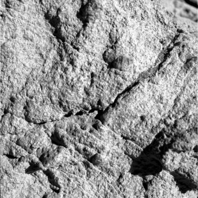 Microscopic Mars: is that a piece of coral?
In questa immagine, ad esempio, si riesce a cogliere con una discreta chiarezza (sulla Sn, in basso) un dettaglio davvero intrigante: potrebbe trattarsi di un piccolo corallo fossilizzato? Forse. Ad ogni modo, qualora non vedeste un corallo, non Vi preoccupate: qualunque altra cosa apparisse ai Vostri occhi sarebbe altrettanto verosimile. Il dettaglio in questione, infatti, potrebbe essere lungo, per esempio, 5 cm o 0,4 mm e questa differenza (abissale!) è di fondamentale importanza per avanzare delle ipotesi sensate. 
Però, purtroppo, noi non sappiamo assolutamente NULLA del particolare ripreso (tranne i filtri-colore usati e, forse, l'ora locale della ripresa). 
La verità è che si potrebbe trattare di qualsiasi cosa ed è per questo che una interpretazione vale l'altra...
Noi Vi diciamo - sinceramente - che le immagini come questa sono sicuramente belle ma, di fatto, servono solo a confondere le idee.
Parole chiave: Micro-Mars