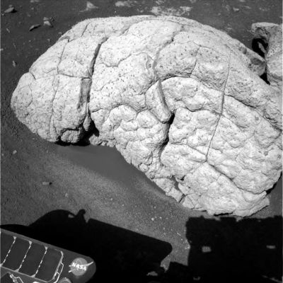 Looking at the "Big White" stone (1) - Sol 257
Mentre Spirit continua a "riflettere" sul da farsi, Opportunity non smette di guardare con crescente attenzione la grande roccia bianca che ha interessato davvero tutti a causa (anche) delle sue strane fattezze e della sua superficie - ricoperta di palline di roccia - che sembra essere fatta da "placche ad incastro". La voglia di avanzare delle ipotesi ulteriori sulla natura di questa roccia e delle "escrescenze" che la caratterizzano è forte, ma ci rendiamo conto che qualsiasi idea tirassimo fuori in questo momento, per quanto tecnica ed elaborata essa possa essere, equivarrebbe - in sostanza - a "tirare ad indovinare", e questo non ci sembra giusto. Dunque...Osserviamo e basta (tanto di personaggi, più o meno famosi) che "sparano nel buio", sulla Rete, ce ne sono già tantissimi...(!)
Parole chiave: Endurance Crater - unusual inner features