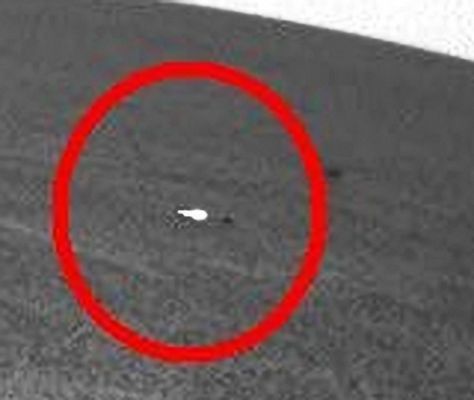 A new (small) "Silver Anomaly"? (extra detail mgnf) - Sol 321
A nostro parere, anche se vorremmo essere "immaginifici" e pensare al manufatto alieno - o, perchè no?, ad un frammento di quarzo di discrete dimensioni - in questo caso specifico riteniamo di essere davanti ad un semplice frammento di metallo (un rottame, insomma) il quale dovrebbe appartenere all'Heat-Shield di Opportunity, non molto distante rispetto al punto attualmente occupato dal Rover.

Siamo giunti a questa conclusione basandoci sulla particolare brillantezza del rilievo la quale ci induce a concludere che, al 99%, si tratta di lamiera e quindi abbiamo effettuato una sommaria analisi dell'area circostante l'Heat-Shield. Un'area che, come dimostra un elevato numero di frames, è cosparsa di frammenti metallici di medio-piccole dimensioni.
Questo "oggetto", quindi - e con ogni probabilità -, dovrebbe essere solo una scheggia dell'Heat-Shield il quale, dopo l'impatto con il suolo Marziano, si è - in larga parte - frantumato.

Complimenti come sempre al Dr Barca ed una domanda per Voi: che ne pensate di questa nostra conclusione? Siete d'accordo?...
Parole chiave: Martian Surface - Possible Space Debris