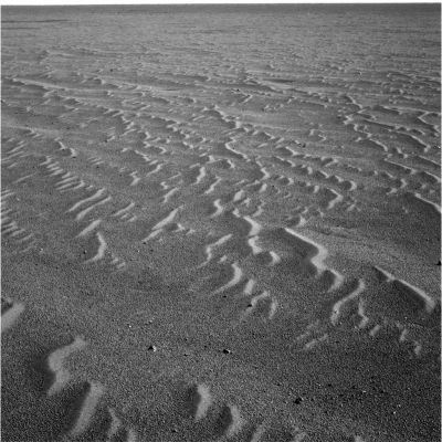 "Side-Winders" from Sol 358 (1)
Dal Sol 358 del Rover Opportunity, ci arrivano queste immagini dell'orizzonte di Meridiani Planum e delle sue incredibili dune che noi abbiamo battezzato "Side-Winders" (espressione difficilmente traducibile - lett. "lato del vento" - la quale sta a significare un "movimento ondeggiante e sinuoso", proprio come quello che vediamo caratterizzare le forme delle dunette che circondano Opportunity).
Questa immagine è stata ripresa con il "filtro 7".
Inutile dire che sull'origine di queste formazioni sabbiose stiamo ancora brancolando nel buio...
Parole chiave: Martian dunes