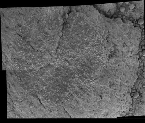 A close look at one of the "paved stones" - Sol 401
Caption NASA originale:"This picture from the MI on NASA's MER Opportunity is a mosaic of a target called "Gagarin" on a rock referred to as "Yuri." Opportunity brushed the target with the rock abrasion tool during the rover's 401st Sol, (March 10, 2005) and then took the individual images that are combined into this mosaic. The rock abrasion tool ground into the same target on the following Sol. 
The circle from which the tool's wire brush has scoured dust off the rock surface is about 5 cm (approx. 2 inches) in diameter. 
This rock is near the rim of "Vostok" Crater. Yuri Gagarin was the first man to orbit Earth. The Russian cosmonaut's spacecraft was named Vostok 1".
Nota: come vedete bene il Rock Abrasion Tool ha "lucidato", oltre alla pietra, anche alcuni Martian Berries. Nessun dubbio quindi: i 'frutti di bosco" di Meridiani Planum sono PARTE delle rocce. E quelli che vediamo al suolo? Sono essi "parte" del suolo o no? E se la risposta fosse "no" - come crediamo - che cosa potremmo dedurre?
Parole chiave: Microscopic Imager