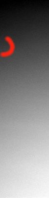 The Stars that Llght-up the Martian Sky! (2) - Sol 449
Sono le 18:39:18 MLT; il filtro/colore colore usato per questa ripresa è il n. 4 (il precedente era il n. 2). C'è già una stella nel campo di ripresa della PanCam. 
E' la Terra? E' un photoartifact? Che cos'è?
Parole chiave: Martian Sky