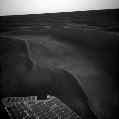 Out of 'Purgatory', straight to 'Heaven'?!? (1) - Sol 488
La duna che avrebbe tenuto Opportunity imprigionata per 5 settimane è stata battezzata - con una scelta finalmente felice dobbiamo dire - la Dune del Purgatorio.
Bene: dato che Opportunity ha 'espiato' i suoi peccati ed è uscita dal Purgatorio, la logica deduzione che dovremmo trarne è che essa, ora, si dirigerà senza più indugiare verso il Paradiso. Un Paradiso chiamato Erebus, prima, e Vistoria, poi.
Ce la farà?

Saremo sinceri - e speriamo di sbagliarci - e Vi diremo che la nostra sensazione è che Opportunity, difficilmente, conseguirà entrambi gli obbiettivi. La motivazione, al di là di qualche sospetto relativo ad un possibile 'intervento umano', è nel fatto che Opportunity si muove, a giudicare dalle tracce che lascia dietro di sè, 'trascinandosi' almeno 1 ruota, se non addirittura 2.

E' ovvio che il ruolo di 'Profeti di Sciagura' non ci piace, ma una delle nostre (e più importanti) linee-guida consiste nel dire sempre quello che pensiamo, anche a rischio di sbagliare e di fare brutte figure...
Parole chiave: Mars Panorama