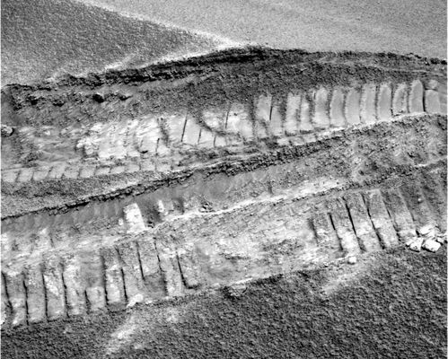 Mars stands still (3) - Sol 496
E l'atmosfera di Marte, in accordo anche ai rilievi orbitali MGS, Odyssey e Mars Express, è un'atmosfera 'attiva', ricca di correnti e di movimenti che vengono anche conosciuti come 'weather-patterns'. Il che significa, in altre parole, che Marte ha una sua propria meteorologia, peraltro simile a quella terrestre, la quale mostra l'esistenza di stagioni - ciascuna con caratteristiche sue proprie - che si alternano nel corso dell'anno e che si presentano con peculiarità esclusive. Nuvole, ora sottili e stratiformi ed ora spesse e vaporose; cicloni (guardate la fotografia a colori di un'area ciclonica su Marte nella Sezione "Mars and His Moons"); neve e, forse, in alcune aree, pioggia. Venti che soffiano sia ad alta quota, sia a livello della superficie (pensate ai Dust Devils, p.e.).
Stiamo descrivendo un'atmosfera 'viva' che, con i suoi fenomeni, modifica la superficie di Marte. Costantemente.

Ma qui, nel deserto di Meridiani Planum, non si muove un granello di sabbia. Mai. 

O meglio: APPARENTEMENTE Mai...
Parole chiave: Mars dunes and sands