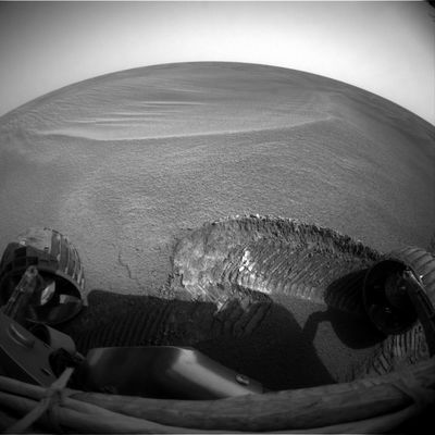 Digging again... - Sol 516
Opportunity non sembra proprio aver voglia di riprendere la marcia verso il cratere Erebus: ora, tanto per fare qualcosa di nuovo, il Rover è stato messo a scavare una nuova trincea.
Attenzione: le attività di scavo, seguite dalla fotografia ravvicinata della tessitura del suolo e dalle analisi effettuate con l'ausilio della sofisticata strumentazione di bordo di cui il Rover è dotato sono attività eccellenti e necessarie.
Ciò che a noi sembra, invece, piuttosto 'dilatorio' - ergo NON necessario - è il ripetere questi esperimenti ogni 15 metri o anche meno. Cosa che il Centro Controllo Missione sta facendo con Opportunity da oltre due mesi. Come mai?
Parole chiave: Mars Panorama
