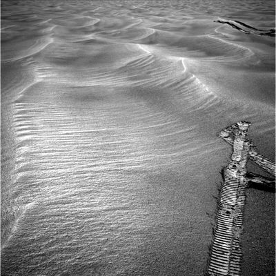 The beautiful shape of the Side-Winders! (3) - Sol 516
nessun commento
Parole chiave: Mars dunes - Side Winders