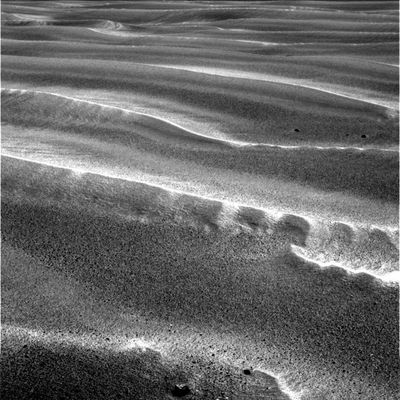 Erebus Highway (4) - Sol 529
nessun commento
Parole chiave: Mars Panorama - Side Winders