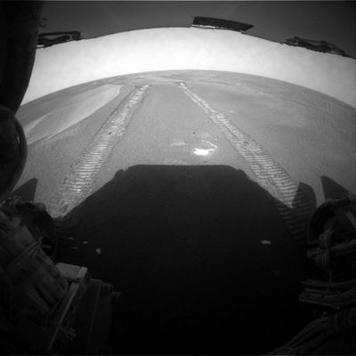 Paving under the sand? (1) - Sol 533
Non è certo la prima volta che notiamo qualcosa che sembra essere della roccia bianca, altamente riflettente e liscia la quale giace, in alcune zone, appena pochi millimetri al di sotto delle sabbie arancioni di Meridiani. In questo frame, l'area di "pavimentazione" si vede alle "spalle" del Rover ed appare decisamente chiara e luminosa. 
Certo, è piuttosto difficile credere che si tratti davvero di un qualche tipo di pavimentazione ormai completamente - o quasi - ricoperta da sabbie e polveri, ma che si tratti di una 'stranezza' non c'è dubbio. 
Al momento non ci risulta che il Centro Controllo Missione abbia già fatto qualche ipotesi al riguardo.
Caption NASA originale per l'immagine:"Left Rear Haz-Cam Non-linearized Full frame EDR acquired on Sol 533 of Opportunity's mission to Meridiani Planum at approximately 12:19:10 MLT".
Parole chiave: Unusual rock formation in Meridiani Planum