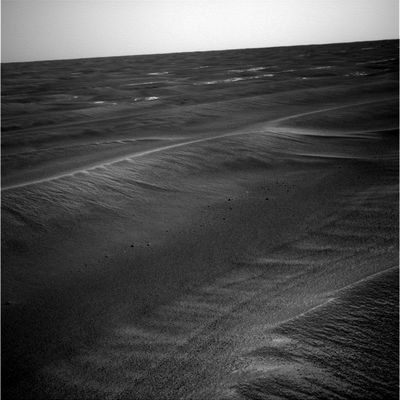Panorama - Sol 536 (2)
Caption NASA originale:"The Rover's Power Team reported a dust-cleaning event on Opportunity between Soles 524 and 526. Daily power output from solar panels increased from about 500 watt hours to about 650 watt hours".

Nota: questa informazione riportata dalla NASA, a nostro parere, non è reale. Abbiamo esaminato con ESTREMA attenzione le immagini dei Soles 524, 525 e 526 e, a quanto esse ci mostrano, intorno al Rover NON si è mosso un grano di sabbia che fosse uno (verificate, per esempio, lo stato delle tracce che sono state lasciate dalle ruote di Opportunity). Deduzione: se il "dust-cleaning event" di cui parla la NASA è un Dust-Devil, allora dobbiamo dedurre che esso è nato, si è sviluppato ed è morto SUL Rover, senza muoversi di un millimetro nello spazio ad esso circostante (ed è un'ipotesi così poco credibile da non meritare commenti). Lo scenario cambia se supponiamo che il Dust-Devil è capace di ripulire il Rover ma NON è in grado di modificare l'ambiente circostante.

Parole chiave: Mars Panorama