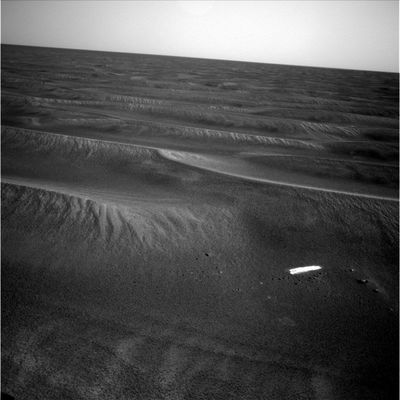 Side-Winders and the "etched terrain" (4) - Sol 538
nessun commento
Parole chiave: Mars dunes and etched terrain