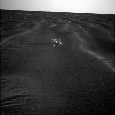 Side-Winders and the "etched terrain" (6) - Sol 539
nessun commento
Parole chiave: Etched Terrain