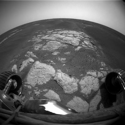 The Martian Paving from the Front Haz-Cam - Sol 543
Caption NASA originale:"Left Front Haz-Cam Non-linearized Full frame EDR acquired on Sol 543 of Opportunity's Mission to Meridiani Planum at approx. 13:45:09 MLT".
Parole chiave: Mars Panorama - Martian Paving