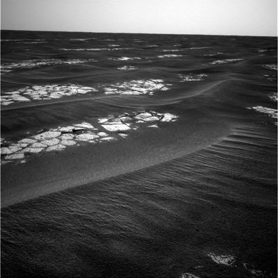 Mars Panorama (1) - etched terrain/Martian Paving
nessun commento
Parole chiave: Mars Panorama - Martian Paving