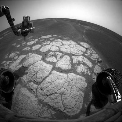 Exploring the Martian Paving - Sol 544
Caption NASA:"Right Front HazCam Non-linearized Full frame EDR acquired on Sol 544 of Opportunity's mission to Meridiani Planum at approximately 13:30:19 MLT".

Il Sole, sebbene grande appena poco più di un terzo rispetto a come lo vediamo sulla Terra, sta splendendo alto sulla pianura di Meridiani e la temperatura al suolo, in questo momento, è di circa 19°C.
E' strano, ma più guardiamo Marte, attraverso gli occhi dei Rover, e più ci è difficile credere al fatto che sia così brutalmente inospitale. Ma forse la colpa è anche nostra. Forse è perchè non siamo ancora andati a vedere da vicino quello che succede nelle Regioni Polari. Magari, in quelle zone, riusciremmo finalmente a vedere questa landa deserta e ghiacciata alla quale gli Scienziati cercano (da tempo e vogliamo dire 'disperatamente') di farci abituare...
Parole chiave: Mars Panorama - Martian Paving