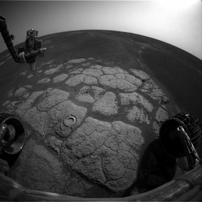 The "Mark", on the Martian Paving... - Sol 545
Original caption:"Right Front HazCam Non-linearized Full frame EDR acquired on Sol 545 of Opportunity's mission to Meridiani Planum at approximately 14:52:21 MLT".
Parole chiave: Mars Panorama - Martian Paving