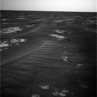 The "Etched Terrain" (2) - Sol 545
Original Caption:"Left NavCam Non-linearized Full frame EDR acquired on Sol 545 of Opportunity's mission to Meridiani Planum at approximately 15:03:38 MLT".

E' difficile, forse, pensare a questa zona di Marte come ad una uniforme e pulita lastra di pietra, ma questa è l'impressione che stiamo ricavandone. Una domanda da porsi, in fondo, potrebbe anche essere "da dove viene tutta questa polvere/sabbia?" oppure "cos'era Meridiani Planum prima di diventare una specie di deserto?"...

Provate a rispondere, se volete...
Parole chiave: Mars Panorama - Martian Paving