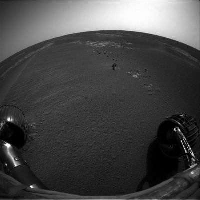 Front view from Opportunity - Sol 549
nessun commento
Parole chiave: Mars Panorama - Martian Paving