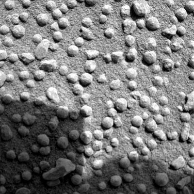 Martian berries near Erebus Crater - Sol 554
nessun commento
Parole chiave: Martian Berries