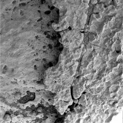 Deep inside the "Martian Paving" (1) - Sol 556
Una piccola serie di 5 frames ottenuti dal Microscopic Imager durante il Sol 556 di Opportunity. 
La distanza di ripresa dal suolo di Meridiani la stimiamo in non più di 4 cm; l'ora di ripresa, poi, non è precisata ma, a giudicare dalle ombre (e supponendo che il MI stia effettivamente riprendendo il suolo di Marte), potremmo ipotizzare che sìano le 13 circa. 
Ma le "vera" domanda (e cioè "che cosa stiamo guardando"?) resta senza risposta. Osservate i 5 frames e poi riflettete su questo dato: si tratta di riprese del suolo di Marte, ovviamente, ma il fatto che sìano state ottenute dal MI del Rover Opportunity - ergo da una distanza di pochi cm dal suolo di Marte - non le rende più intelleggibili rispetto a quelle (anch'esse affascinanti ed enigmatiche, senza dubbio) che, invece, sono state riprese dalla Sonda MGS da 375 o più Km di quota.

O ci sbagliamo?!?
Parole chiave: Microscopic Imager - Martian Paving
