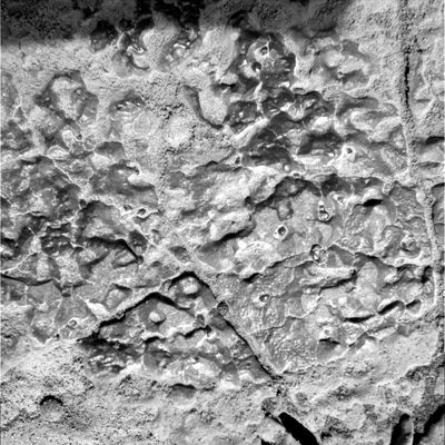 Deep inside the "Martian Paving" (5) - Sol 556
Leggevamo, proprio ieri sera sul Sito Ufficiale U.A.I., che è da tempo in corso una Grande Caccia alle Comete Sun-Grazer (o 'sfiora-Sole'), le quali vengono individuate dalle immagini in arrivo dalla Sonda SOHO. Si tratta di una "Caccia" che vede assiduamente impegnati migliaia di Ricercatori di tutto il Mondo. Come mai, Vi domanderete? Ma è ovvio: per "mettere il proprio nome" nel Taccuino della Storia. Per gratificare il proprio ego, insomma. 
Siamo troppo severi? Forse si, ma quando ci rendiamo conto che i più grandi sforzi, a tutti i livelli di Ricerca, vengono profusi per cercare fama o quattrini, un pizzico di "dispiacere" (è un eufemismo, ma la parola che ci sovviene non è il caso di usarla...) ci prende alla gola e ci fa pensare che, forse, gli sforzi che facciamo ogni giorno per trovare e pubblicare almeno un frame "significativo" - uniti ai rischi enormi di credibilità che poi corriamo quando proviamo ad interpretarlo -, dovremmo indirizzarli verso orizzonti meno "gloriosi" e più "pratici"...
Parole chiave: Microscopic Imager - Martian Paving