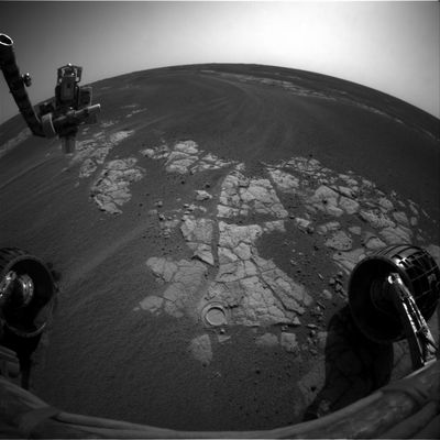 Front view from Opportunity - Sol 558
Commento NASA originale:"Opportunity completed a study of the cobble area by taking a close look at the cobble "Arkansas" and a nearby soil target named "Reiner Gamma" with the instruments on the Robotic Arm. A 3-mt (10-foot) bump took the Rover to an outcrop dubbed "Fruit Basket" for an intensive investigation of targets there. So far Opportunity has studied 'Lemon Rind' with its complete suite of Robotic Arm instruments and begun an inspection of 'Strawberry'. The plan is to drive east to the "Erebus Highway" after finishing work at Fruit Basket".

Nota: ancora una volta - e la domanda NON è oziosa - ci chiediamo quale sia il criterio adottato dai Ricercatori del Centro Controllo Missione per dare i (sia pure provvisori) nomi ai veri "targets" che vengono incontrati ed investigati. Qualcuno di noi pensa che i targets sìano identificati da una sorta di "codice"; altri credono che non ci sia nessun criterio vero e proprio dietro la scelta di questi ridicoli nomi. Voi che ne pensate?
Parole chiave: Mars Panorama - Martian Paving