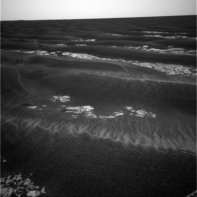 360� Panorama (6) - Sol 562
nessun commento
Parole chiave: Postcards from Mars