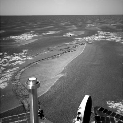 360� Panorama (9) - Sol 562
nessun commento
Parole chiave: Postcards from Mars