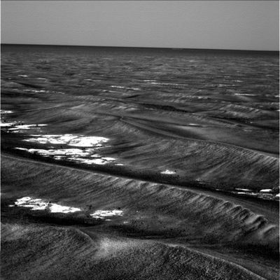 The "waves" of Meridiani (3) - Sol 569
Steve Squyres, Astronomo ed Investigatore Principale della MER Mission to Mars, come era ovvio attendersi, ha scritto un libro ("Roving Mars: Spirit, Opportunity and the Exploration of the Red Planet" - Hyperion, 2005). Questi i primi commenti:"...The book isn't just about Spirit and Opportunity. It's also a story of the people who built them. "Roving Mars" closes with 27 pages of names of people involved in the mission. Over 4000 in all.
No one would deny Squyres getting much of the glory, but his theme throughout the book is that without that giant family of 4000 engineers, scientists, technicians and support staff, the whole thing might never have happened.
'Roving Mars' also includes 32 pages of photos. Some, like PanCam views of Endurance Crater, are probably familiar. Others, such as a close-up of what the team called "freaky little hematite balls" until they started calling them "blueberries" - were less widely circulated..."
Parole chiave: Mars Panorama - Martian Paving & Side Winders