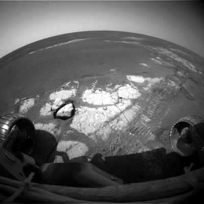 Panorama from Meridiani Planum (2) - Sol 578
In questo secondo frame della nostra panoramica relativa al Sol 578 di Opportunity ci sembra interessante portare alla Vostra attenzione un dettaglio che potete facilmente vedere circa ad ore 9 dell'immagine in oggetto e che consiste in una roccia isolata ed - almeno in apparenza - completamente "infossata" (nota: non è la prima volta che incontriamo rocce di questo tipo - vedere, ad esempio, i dintorni di Endurance Crater). 
Vi basterà portare l'immagine in oggetto sino al full-size per notare che, all'interno della crepa che circonda l'intera roccia, non vi è traccia alcuna dell'accumulo di sabbie e/o di polveri il che, unito alle caratteristiche apparenti della Singolarità, Vi permetterà di dedurre - riteniamo in modo corretto - un'origine geologicamente MOLTO recente del rilievo. Che poi si tratti di attività sismica o di attività meccanica di origine non geologica non ci è dato saperlo. L'unico dato certo, secondo noi, è che NON è stato il braccio meccanico del Rover a scavare intorno a questa roccia...
Parole chiave: Mars Panorama - Martian Paving & Side Winders