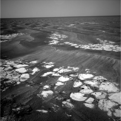 The surroundings of Erebus Crater (1) - Sol 578
nessun commento
Parole chiave: Mars Panorama - Martian Paving & Side Winders