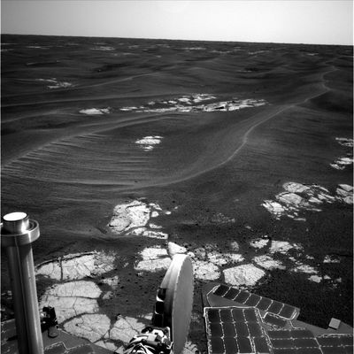 The surroundings of Erebus Crater (5) - Sol 578
nessun commento
Parole chiave: Mars Panorama - Martian Paving & Side Winders