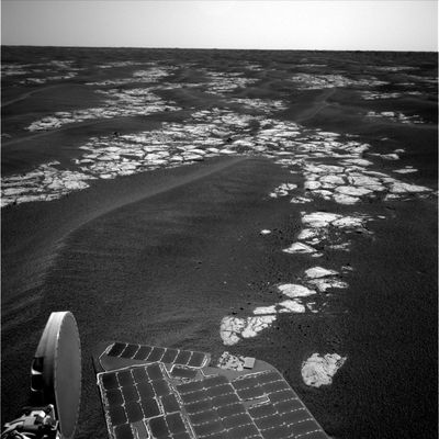 Erebus Area (3) - Sol 582
nessun commento
Parole chiave: Mars Panorama - Martian Paving & Side Winders