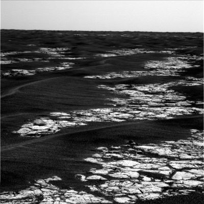 Erebus Area (7) - Sol 582
nessun commento
Parole chiave: Mars Panorama - Martian Paving & Side Winders