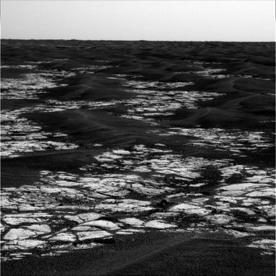 Erebus Area (8) - Sol 582
nessun commento
Parole chiave: Mars Panorama - Martian Paving & Side Winders